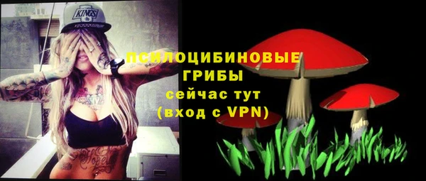 ГАЛЛЮЦИНОГЕННЫЕ ГРИБЫ Кукмор