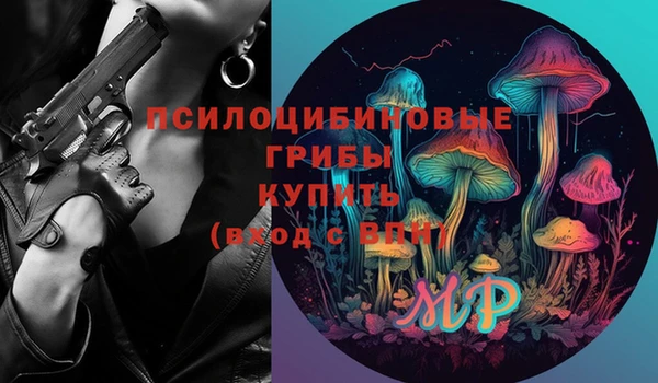 ешки Куйбышев