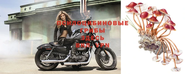 ГАЛЛЮЦИНОГЕННЫЕ ГРИБЫ Кукмор